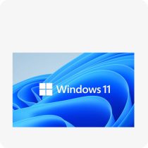 Windows 11